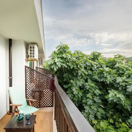 Cherry Villa-3