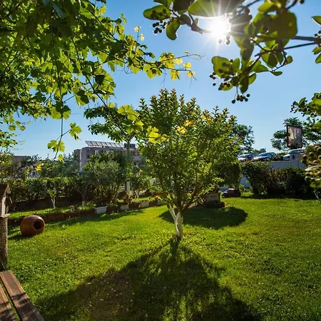 Cherry Villa-3
